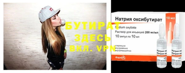 индика Переславль-Залесский