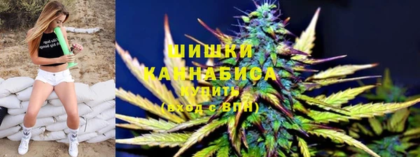 индика Переславль-Залесский