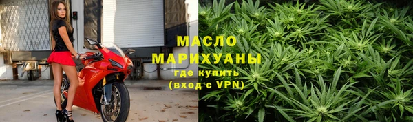индика Переславль-Залесский