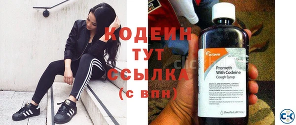 индика Переславль-Залесский