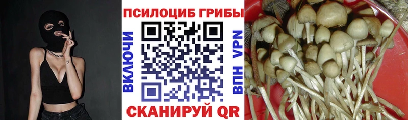 Галлюциногенные грибы Magic Shrooms  Серов 
