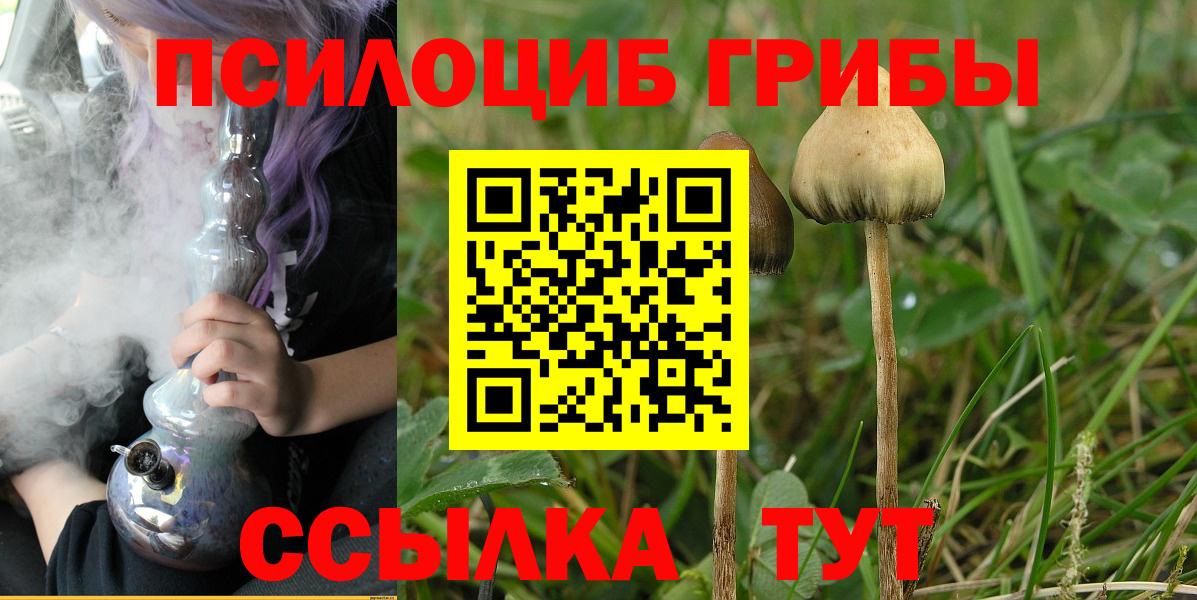 Галлюциногенные грибы MAGIC MUSHROOMS Серов