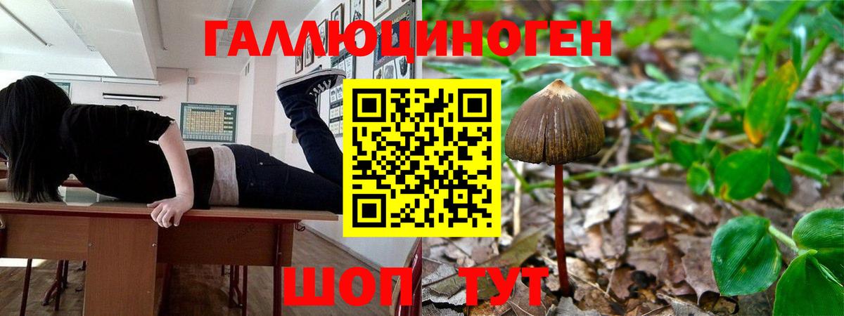 Серов  Псилоцибиновые грибы мухоморы  Псилоцибиновые грибы GOLDEN TEACHER  Вход с VPN 